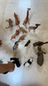 MECHILE仿真動(dòng)物模型玩具套裝野生動(dòng)物園認知老虎長(cháng)頸鹿大象犀牛斑馬鱷魚(yú) 野生動(dòng)物18件套裝 曬單實(shí)拍圖