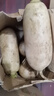 河北新鮮白蘿卜現挖甜脆沙地水果蘿卜胡蘿卜農家蔬菜營(yíng)養健康營(yíng)養 新鮮白蘿卜 7.7-8凈重 曬單實(shí)拍圖