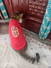 可愛(ài)秋冬貓咪狗狗寵物衣服新款加絨保暖兩腳衣服新年防掉毛小型犬 紅色加絨款【招財】 XL【建議8-11斤】 曬單實(shí)拍圖