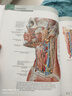 奈特人體解剖學(xué)彩色圖譜 第八版 第8版 人民衛生出版社旗艦店翻譯新版臨床醫學(xué)外科學(xué)教材書(shū)局部系統解刨學(xué)書(shū)籍19全身正常醫學(xué)實(shí)用動(dòng)態(tài)局解全彩圖譜2023 曬單實(shí)拍圖