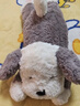 Jellycat唐布利牧羊犬動(dòng)物毛絨玩偶安撫玩具狗公仔娃娃生日情人節禮物 唐布利牧羊犬 Medium 曬單實(shí)拍圖