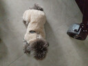 曇蓓漫泰迪衣服寵物小型犬狗狗衣服秋冬季保暖比熊博美幼犬四腳牽引狗衣 淺棕色M碼（建議4-6斤） 升級優(yōu)質(zhì)珊瑚絨-【加絨加厚】 曬單實(shí)拍圖