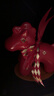 貝漢美（BHM）馬年擺件文創(chuàng  )禮物桌面客廳新年高檔公司年會(huì )伴手禮品本命年吉祥物 好運馬紅色大號（ 禮盒裝） 曬單實(shí)拍圖