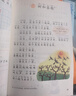 【新華書(shū)店正版】適用2026小學(xué)一年級下冊語(yǔ)文數學(xué)課本全套書(shū)人教版教材人教部編版1年級下冊語(yǔ)文數學(xué)書(shū)2本一年級下冊語(yǔ)數人教版兩本套裝 【套裝2本】一年級下冊語(yǔ)文數學(xué)課本 【套裝2本】一年級下冊語(yǔ)文數學(xué) 曬單實(shí)拍圖