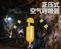 正壓式空氣呼吸器消防應急救援微型消防站  6L鋼瓶呼吸器可定制（帶箱子） 曬單實(shí)拍圖