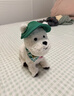 babycare西高地小狗口令狗2.0兒童電動(dòng)毛絨玩具仿真寵物玩偶生日周歲禮物 【2.0升級版】口令狗-西高地+圍巾+三角帽 曬單實(shí)拍圖