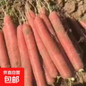 【東東買(mǎi)菜】陜西帶泥水果胡蘿卜紅心胡蘿卜紅蘿卜新鮮現挖 陜北沙壤帶泥胡蘿卜5斤裝 曬單實(shí)拍圖