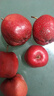 山楂果大五棱鮮果新鮮現摘山楂酸甜開(kāi)胃產(chǎn)地果園直發(fā)整箱新鮮酸甜 帶箱3斤特惠裝大果 曬單實(shí)拍圖