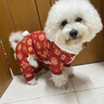 嬉皮狗（hipidog）新年喜慶小狗狗四腳棉衣秋冬寵物泰迪比熊馬爾濟斯小型犬冬季衣服 德羅紅龍紋 L （建議體重8-11斤） 曬單實(shí)拍圖