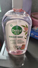 滴露（Dettol）香氛自然衣物消毒液48H留香洗衣除臭兒童可用消毒水殺菌除螨1L*2 曬單實(shí)拍圖