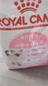 皇家幼貓貓糧 幼貓奶糕 K36 通用糧 4-12月 2KG 曬單實(shí)拍圖