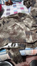 正版原廠(chǎng)迷彩服套裝荒漠軍訓服男戶(hù)外作訓服耐磨訓練服勞保工作服 荒漠冬季套裝【上衣+褲子】 170/100 曬單實(shí)拍圖
