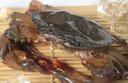 緬甸軟殼蟹冷凍6-10只/盒速凍進(jìn)口冷凍帶殼食用 曬單實(shí)拍圖