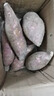廣東湛江沙地冰淇淋紅薯9斤新鮮現挖香薯白薯地瓜粉糯一點(diǎn)紅紫薯A 5斤中果【現挖現發(fā)】 曬單實(shí)拍圖