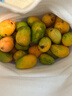 正宗小臺農芒果新鮮水果小芒果鮮果整箱應季當季海南熱帶水果 【中果裝】高性?xún)r(jià)比 小臺芒3斤凈 曬單實(shí)拍圖