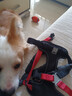 TRUELOVE狗狗胸背帶背心式反光舒適牽引遛狗小中型外出寵物用品黑紅M號 曬單實(shí)拍圖