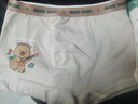 貓人男童內褲兒童純棉平角褲男孩四角短褲100%男寶寶全棉小童大童底褲 曬單實(shí)拍圖