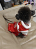 嬉皮狗（hipidog）可愛(ài)狗狗衣服新年舞獅情侶裝泰迪比熊小型幼犬秋冬季厚款寵物服裝 德羅紅舞獅女款 S （建議體重3-5斤） 曬單實(shí)拍圖
