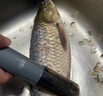 三個(gè)小廚電動(dòng)刮魚(yú)鱗神器刨刮鱗器打魚(yú)鱗器防水全自動(dòng)無(wú)線(xiàn)刮魚(yú)鱗機家用商用 曬單實(shí)拍圖