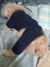 BOBOCOLA狗狗衣服秋冬季保暖加厚四腳狗衣服泰迪比熊雪納瑞小型犬寵物衣服 藏青色 XL【建議11-15斤】 曬單實(shí)拍圖