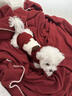 湯尼熊狗狗衣服秋冬無(wú)袖保暖毛衣雪納瑞泰迪比熊保暖背心小型犬貓衣服 保暖加厚毛衣【紅色-單耳小狗】 XS丨背長(cháng)22胸圍33建議2-3斤 曬單實(shí)拍圖
