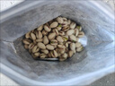 京東京造 開(kāi)心果1.13kg大顆粒無(wú)漂白每日堅果休閑零食量販裝年貨送禮自營(yíng) 曬單實(shí)拍圖