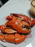 新鮮青蟹腿特大蟹鉗鰲大肉多海鮮水產(chǎn)活蟹冷凍青蟹腳野生現掰蟹肉 500g 建議敲開(kāi)清洗，避免有氨味 特大大號2斤送麻辣醬料包 曬單實(shí)拍圖