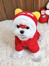 阿莫爾貓咪衣服喜慶紅色獅子連帽衣秋冬季保暖銀漸層布偶寵物狗狗四腳衣 新年喜慶紅獅 M【建議5-7斤 具體參考胸圍背長(cháng)】 曬單實(shí)拍圖