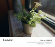 松下S9（20-60mm F3.5-5.6）（Panasonic）全畫(huà)幅微單 實(shí)時(shí)Lut 濾鏡直出 連接app極速分享 灰銀 曬單實(shí)拍圖