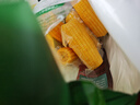 隆福沃原沙漠黃糯玉米香糯甜烏蘭布和沙漠香甜軟糯巴彥淖爾特產(chǎn) 綠色家庭裝1.85kg/包7-9穗裝 曬單實(shí)拍圖