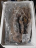 新鮮大魷魚(yú)特大號野生魷魚(yú)整條烏賊批發(fā)冷凍生鮮大章魚(yú)鮮活八爪魚(yú) 海捕野生 原汁無(wú)泡藥/包 2400g(凈重)  兩包裝大份量超劃算 曬單實(shí)拍圖