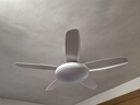 美的（Midea）風(fēng)扇燈餐廳吊扇燈led臥室52寸開(kāi)葉扇全光譜五葉扇熟睡風(fēng)包安裝 曬單實(shí)拍圖