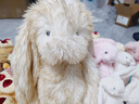 Jellycat害羞乳白色邦尼兔動(dòng)物毛絨玩偶安撫玩偶娃娃生日情人節禮物 害羞乳白色邦尼兔 Small 曬單實(shí)拍圖