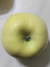 京鮮生 奶油富士蘋(píng)果8-12個(gè) 凈重5.2斤 單果190g以上 曬單實(shí)拍圖