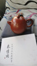 藏壺天下【政府補貼】小容量宜興紫砂壺純手工紫砂茶具朱泥泡茶壺龍蛋壺 曬單實(shí)拍圖