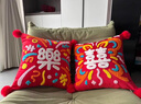 美若晨曦2026新年紅色抱枕套結婚喜慶過(guò)年客廳沙發(fā)靠墊福字腰枕馬年靠背 發(fā)財蝴蝶毛巾繡抱枕 枕套 45*45cm枕套 曬單實(shí)拍圖
