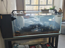 BESSN貝森25年新款側濾金晶五線(xiàn)超白玻璃魚(yú)缸血脈覺(jué)醒80*30*30cm基礎款 曬單實(shí)拍圖
