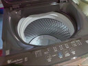 小天鵝（LittleSwan）波輪洗衣機全自動(dòng)家用 12KG大容量 直驅變頻 TB12-1809DT 以舊換新 國家補貼 京東自營(yíng) 一級能效 曬單實(shí)拍圖