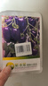 鳳鳴雅世紫色圣女果種子彩色小番茄陽(yáng)臺盆栽紫圣果櫻桃小番茄種子100粒 曬單實(shí)拍圖
