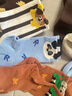 斑比童襪男童襪子秋冬季兒童棉襪春秋款無(wú)骨中筒襪BB2586 18-20碼 曬單實(shí)拍圖