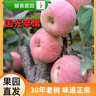 國光蘋(píng)果正宗老品種小國光酸甜脆口山東五蓮30年老樹(shù)自然成熟 5斤 中果60-70mm 曬單實(shí)拍圖