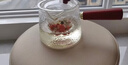 雅集茶具耐熱玻璃泡茶壺煮茶壺茶水分離壺辦公室家用過(guò)濾壺簡(jiǎn)易紅茶壺 曬單實(shí)拍圖