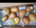 佳沛（zespri）佳沛奇異果新西蘭進(jìn)口陽(yáng)光金果【JD順豐-送貨上門(mén)】黃心獼猴桃 【禮盒】?jì)?yōu)選 10顆 單果約145g-175g 曬單實(shí)拍圖