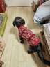 MOEPIE新年狗狗衣服秋冬裝毛衣泰迪比熊雪納瑞馬爾濟斯小型犬加厚保暖 紅色 2XL（推薦17-22斤狗狗） 曬單實(shí)拍圖