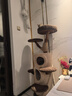 獸牌樹(shù)屋貓爬架大型貓樹(shù)貓窩一體實(shí)木貓抓柱小戶(hù)型貓架子豪華貓屋暖冬 樹(shù)屋貓爬架【經(jīng)典色】 曬單實(shí)拍圖
