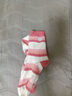 棉奇熊襪子女童秋冬加厚加絨兒童毛圈襪冬季純棉棉襪男童中筒童襪-9-12 曬單實(shí)拍圖