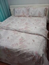 LOVO羅萊家紡 全棉四件套100%純棉床單被套雙人床上用品220*240cm 曬單實(shí)拍圖