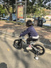 鳳凰兒童自行車(chē)輕量鎂合金學(xué)生小孩單車(chē)帶輔助輪3-6-10-12歲小中大童 推薦：【頂配-碟剎一體輪】科技銀丨大禮包+98%已安裝 16寸（目前身高115-125cm選擇） 曬單實(shí)拍圖