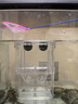 小魚(yú)缸隔離盒孔雀魚(yú)繁殖飼養盒小魚(yú)孵化盒觀(guān)賞魚(yú)孵化器產(chǎn)卵房 單房小號 曬單實(shí)拍圖