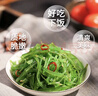 蓋世 調味裙帶菜 凈重2斤 酸甜解膩海白菜 海草海藻沙拉壽司 年貨 曬單實(shí)拍圖